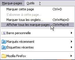 Sauvegarder Ses Marque Pages Dans Firefox 4 Tutoriel Blogzinet