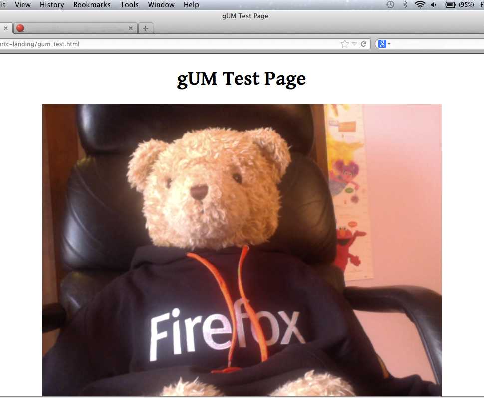gUM Test Page
