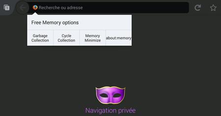 Panonceau de Free Memory 0.95en navigation privée