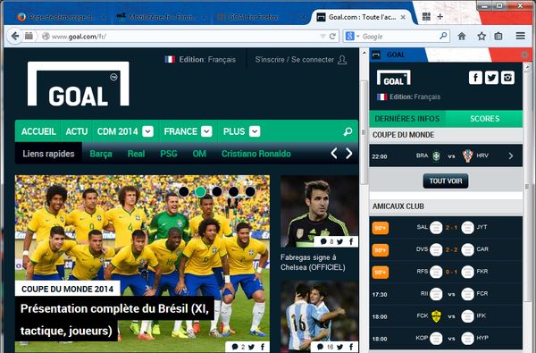 Service Goal dans Firefox 30 (thème  drapeau français)