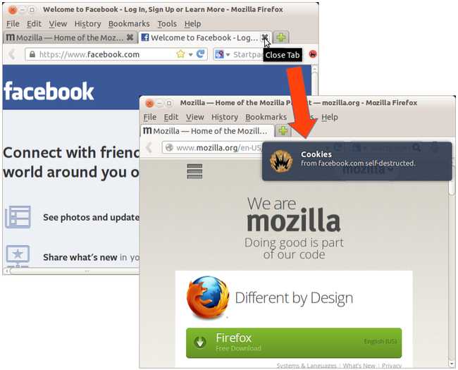 Self-Destructing Cookies en action dans Firefox