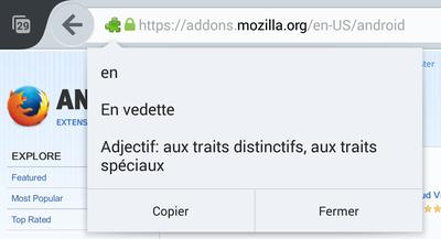 Panonceau de Tap Translate avec la traduction sous la barre d'adresse