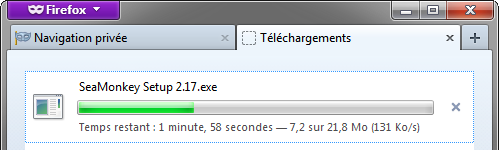 Onglet Téléchargements dans un fenêtre de navigation privée de Firefox 20